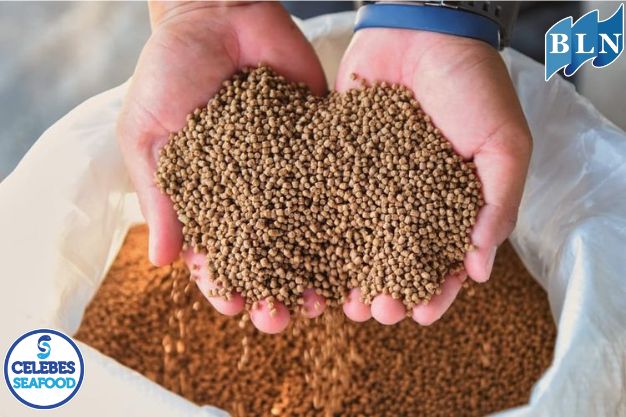Utilizing Fish Offal Waste as Animal Feed